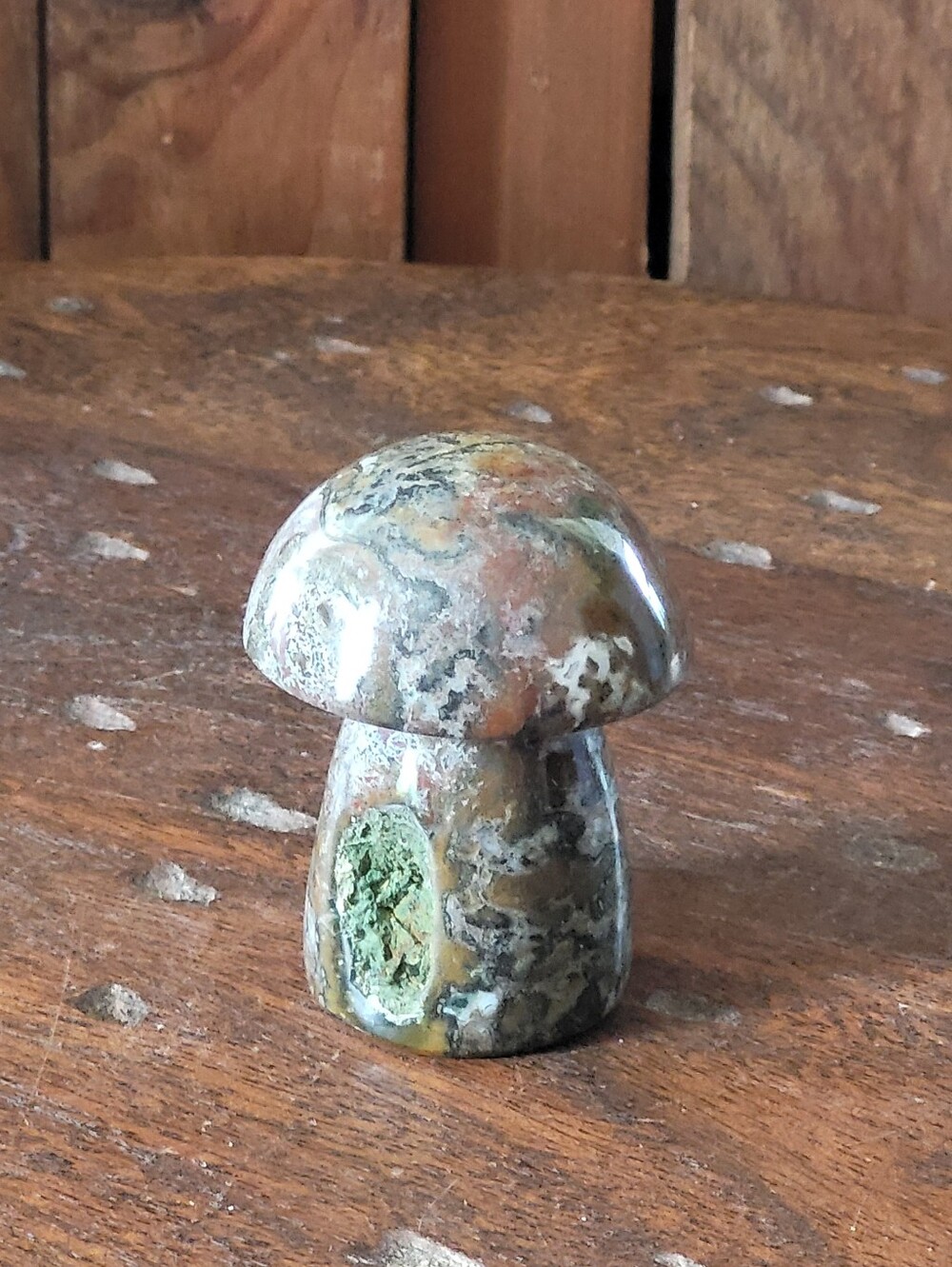 Ocean Jasper Mushroom A